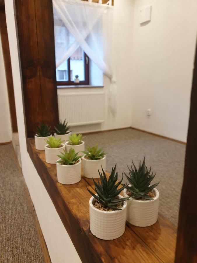 U Mikesu Lägenhet Vyšší Brod Exteriör bild
