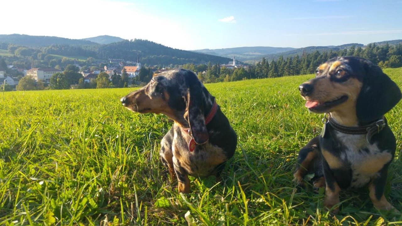 U Mikesu Lägenhet Vyšší Brod Exteriör bild